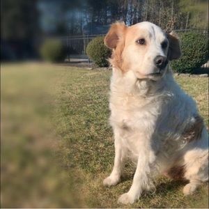 Meet your Posher, Mandy